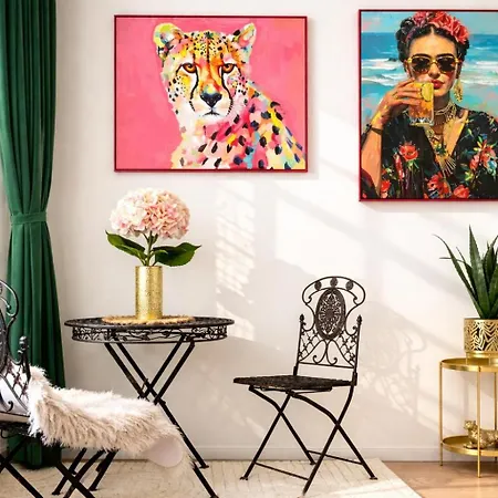 Apartment Galerie - Stayolomouccz