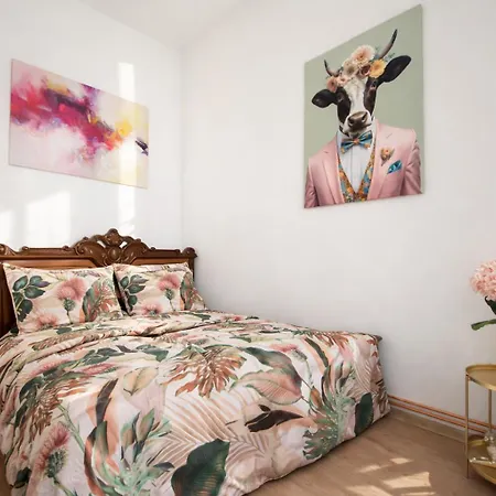 Galerie - Stayolomouccz Apartment